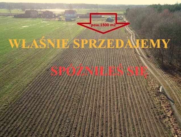 Działka Sprzedaż Marszewo 1