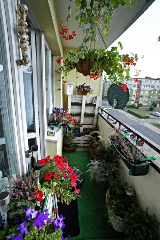 Mieszkanie Sprzedaż Goleniów Jana Matejki 3