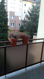 Mieszkanie Sprzedaż Szczecin os. Bukowe Brązowa