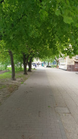 Mieszkanie Sprzedaż Szczecin Centrum gen. Ludomiła Rayskiego