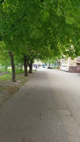 Mieszkanie Sprzedaż Szczecin Centrum gen. Ludomiła Rayskiego 12