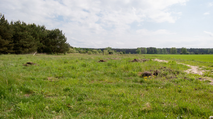 Działka Sprzedaż Białuń 6
