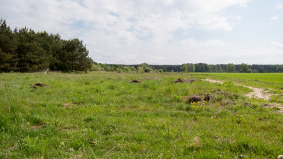 Działka Sprzedaż Białuń