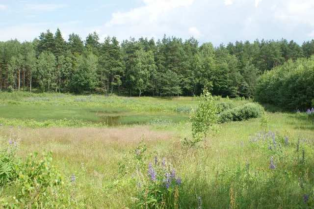 Działka Sprzedaż Miastko 17