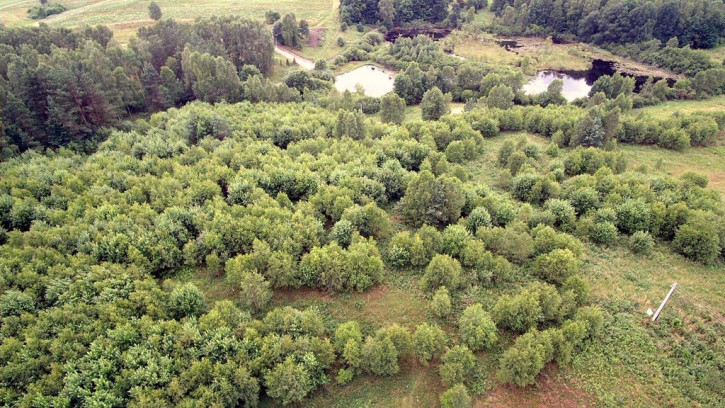 Działka Sprzedaż Miastko 19
