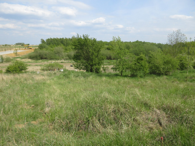 Działka Sprzedaż Szczecin Bukowo Rzeźbiarska 3
