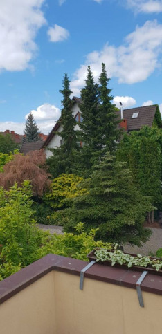 Dom Sprzedaż Szczecin Warszewo 11