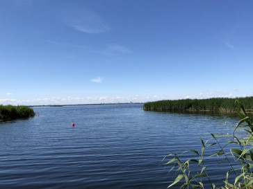 Działka Sprzedaż Czarna Łąka Tęczowa