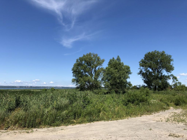 Działka Sprzedaż Czarna Łąka 6