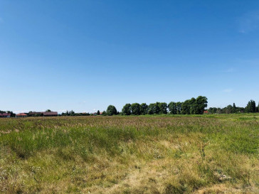 Działka Sprzedaż Czarna Łąka