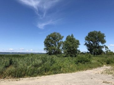 Działka Sprzedaż Czarna Łąka
