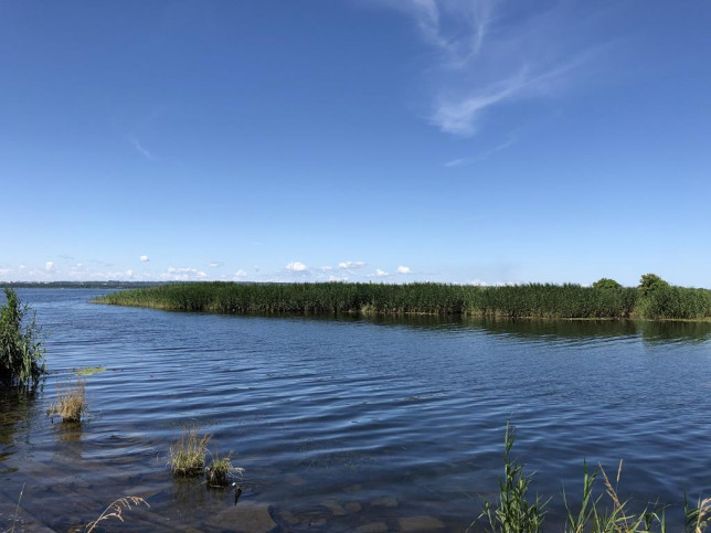 Działka Sprzedaż Czarna Łąka 2
