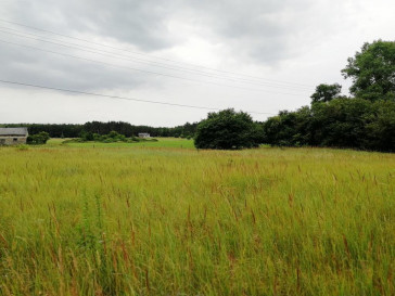 Działka Sprzedaż Goleniów