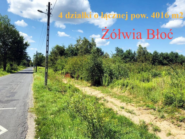 Działka Sprzedaż Żółwia Błoć 1
