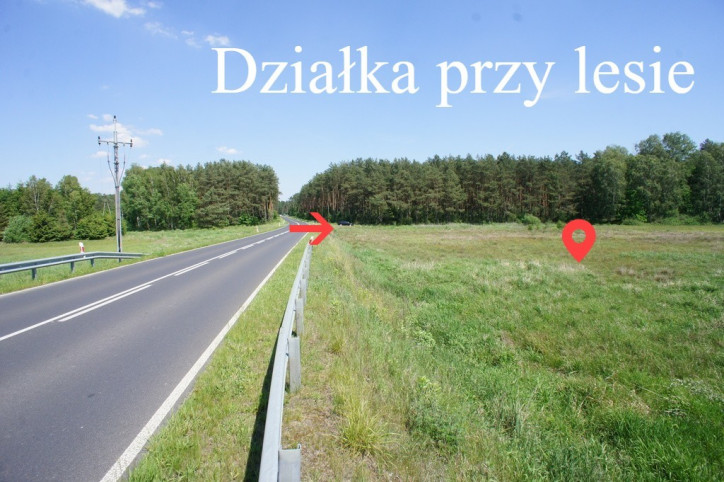 Działka Sprzedaż Modrzewie 1