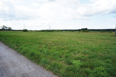 Działka Sprzedaż Żdżary