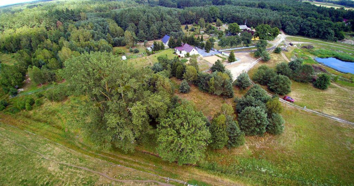 Działka Sprzedaż Krzywice 3