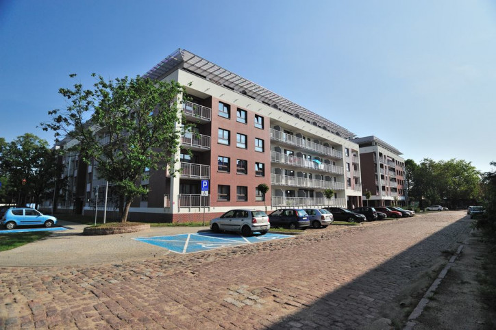 Mieszkanie Wynajem Szczecin Nowe Miasto Janusza Kusocińskiego 18
