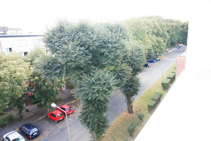 Mieszkanie Wynajem Goleniów Szczecińska 13