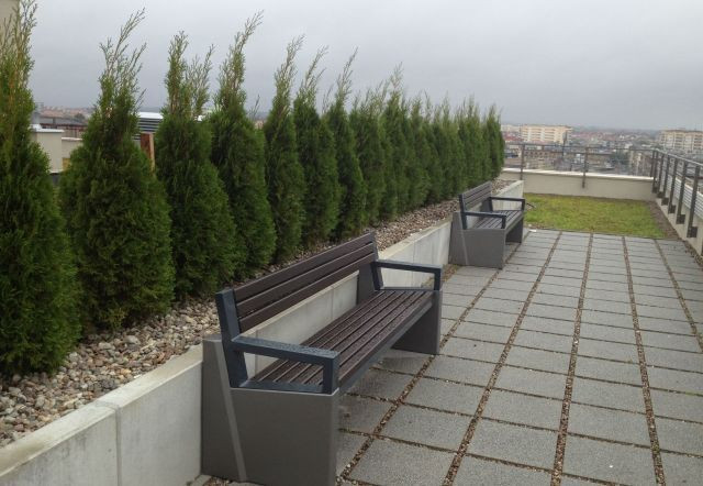 Mieszkanie Wynajem Szczecin Centrum Mariana Langiewicza 9