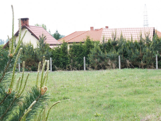 Działka Sprzedaż Rurzyca 8