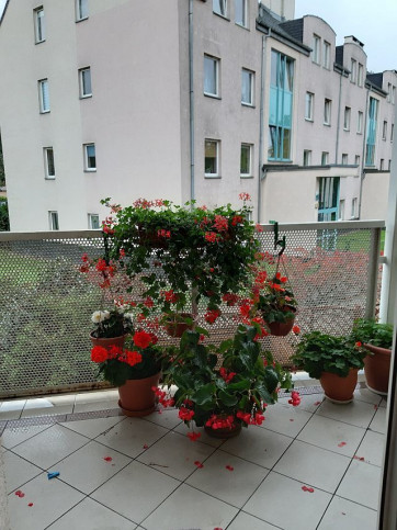 Mieszkanie Sprzedaż Szczecin Zdroje Młodzieży Polskiej 4