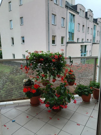 Mieszkanie Sprzedaż Szczecin Zdroje Młodzieży Polskiej