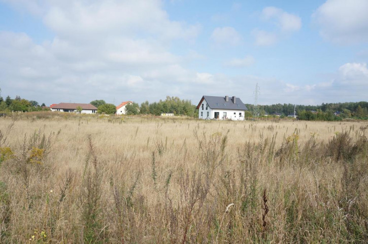 Działka Sprzedaż Rurzyca 7