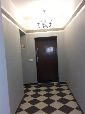Lokal Wynajem Szczecin Centrum 11
