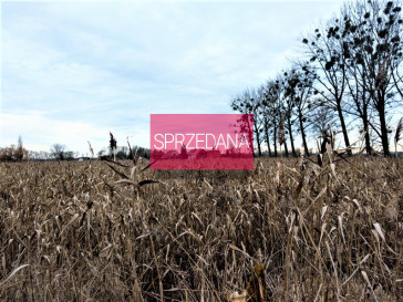 Działka Sprzedaż Daleszewo