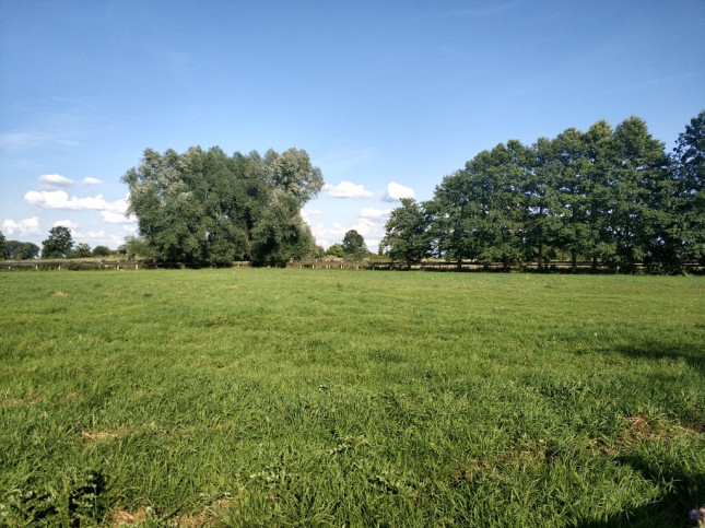 Działka Sprzedaż Parsów 1