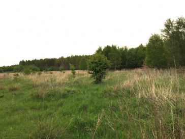 Działka Sprzedaż Żółwia Błoć