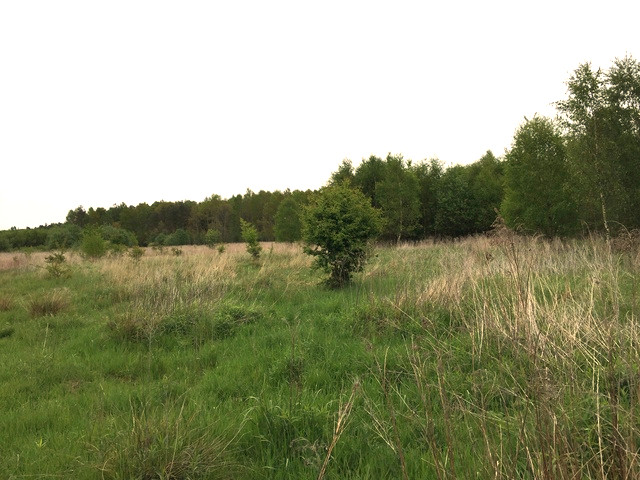 Działka Sprzedaż Żółwia Błoć 3