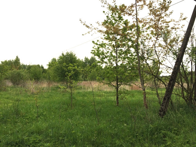 Działka Sprzedaż Żółwia Błoć 5