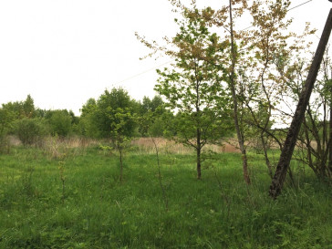 Działka Sprzedaż Żółwia Błoć