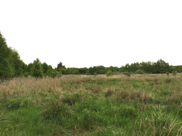 Działka Sprzedaż Żółwia Błoć 9