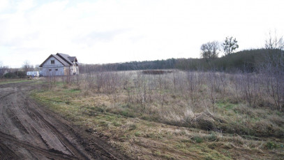 Działka Sprzedaż Podańsko