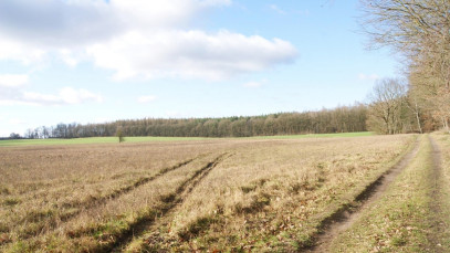 Działka Sprzedaż Goleniów