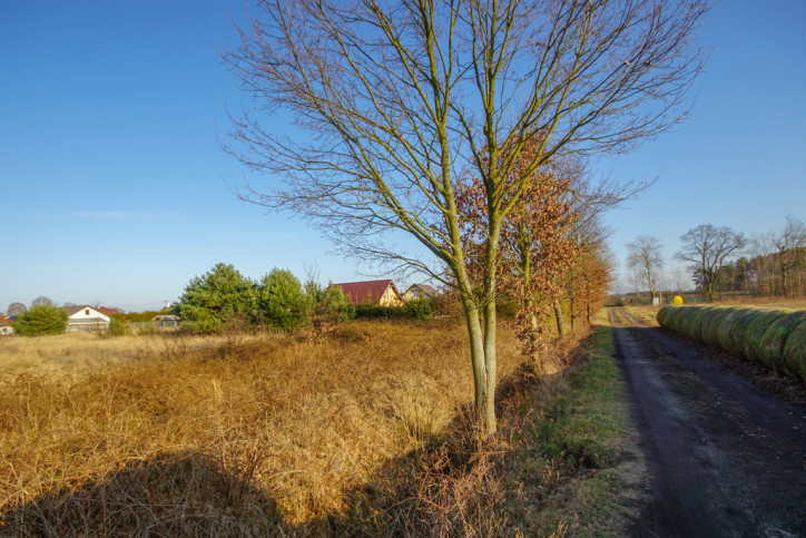 Działka Sprzedaż Białuń 5