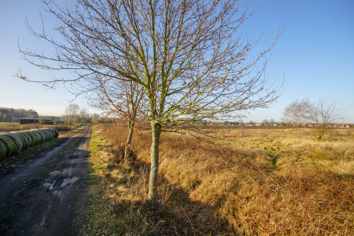 Działka Sprzedaż Białuń 6