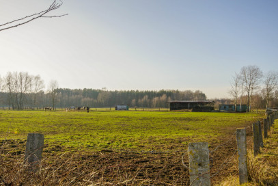Działka Sprzedaż Białuń