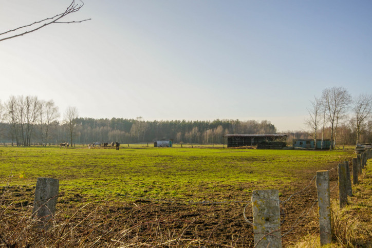 Działka Sprzedaż Białuń 10