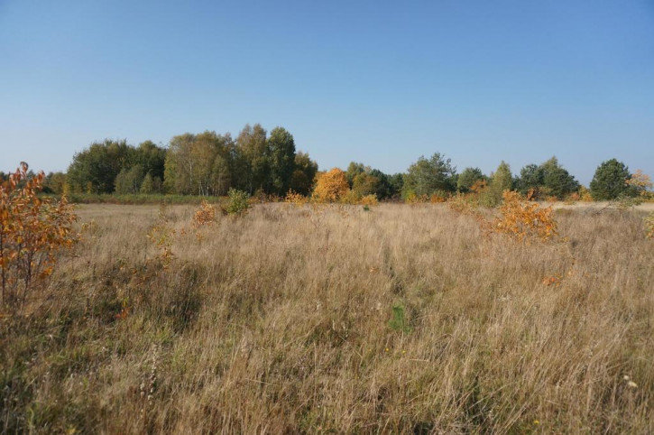 Działka Sprzedaż Białuń 3