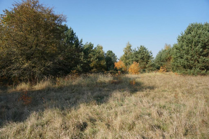 Działka Sprzedaż Białuń 4
