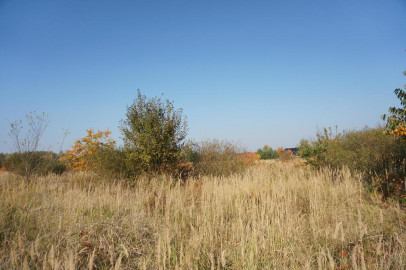 Działka Sprzedaż Białuń