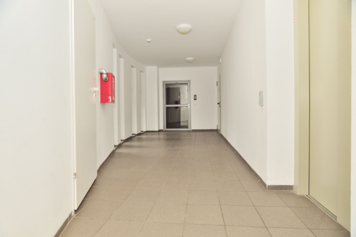 Mieszkanie Wynajem Szczecin Pomorzany Xawerego Dunikowskiego 5