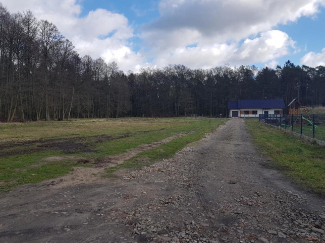 Działka Sprzedaż Krępsko 1