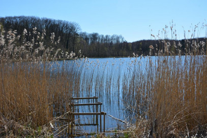 Działka Sprzedaż Linówko