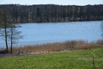 Działka Sprzedaż Linówko
