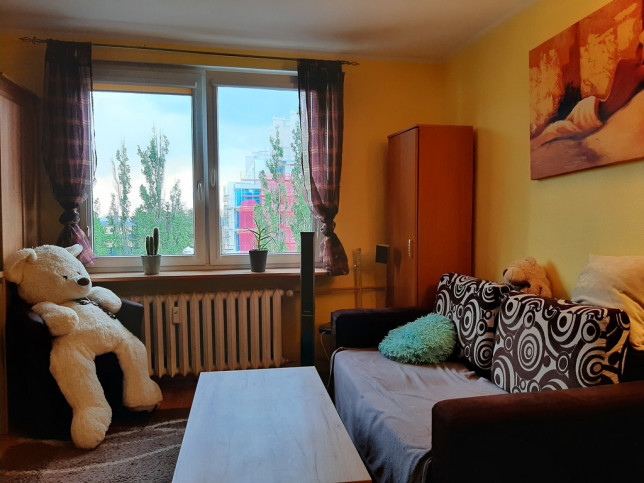 Mieszkanie Wynajem Szczecin Gumieńce Bronowicka 1